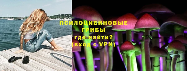 стафф Абаза