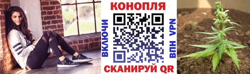 Каннабис ГИДРОПОН  Болотное 